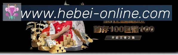 App功能展示图